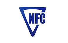 中国有色金属集团股份有公司